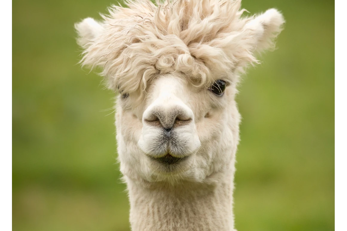 Ausflugsziel: Erlebniszentrum Mühle Kolb Zuzenhausen