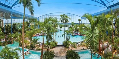 Voyage avec des enfants - Hüffenhardt - Tauchen Sie ein in das Palmenparadies der Thermen & Badewelt Sinsheim mit großer Lagune, Poolbar und verschiedenen Mineralbecken.  - Thermen & Badewelt Sinsheim