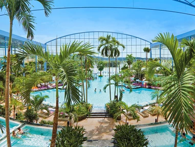 Ausflugsziel: Tauchen Sie ein in das Palmenparadies der Thermen & Badewelt Sinsheim mit großer Lagune, Poolbar und verschiedenen Mineralbecken.  - Thermen & Badewelt Sinsheim