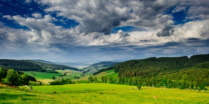 Viaggio con bambini - Bad Dürrheim - Schwarzwaldgaudi  - Haberjockelshof