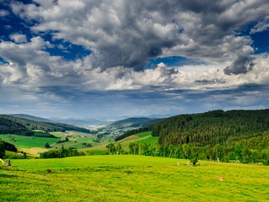 Ausflugsziel: Schwarzwaldgaudi  - Haberjockelshof