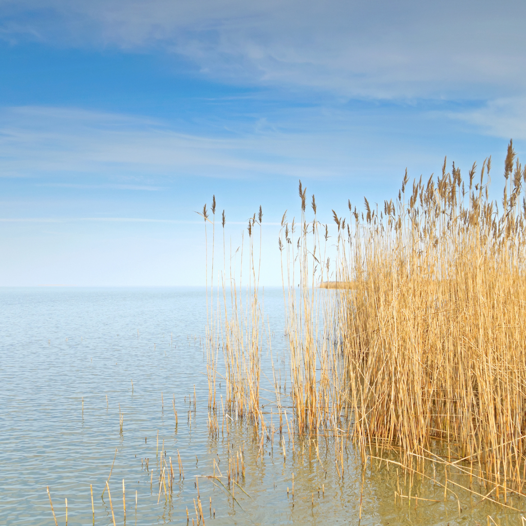 Voyage avec des enfants - Löffingen - Bootsverleih Waldkirch