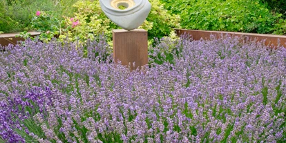 Viaggio con bambini - Altensteig - Rosen- und Skulpturengarten Rosenfeld