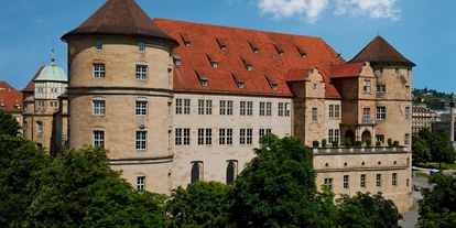 Trip with children - Westerheim (Alb-Donau-Kreis) - In der historischen Hülle des Alten Schlosses agiert heute ein modernes Museum: das größte kulturgeschichtliche Museum des Landes Baden-Württemberg mit Kunstwerken von der Steinzeit bis in die Gegenwart und spannenden Geschichten aus mehr als 250.000 Jahren. - Landesmuseum Württemberg mit Kindermuseum Junges Schloss