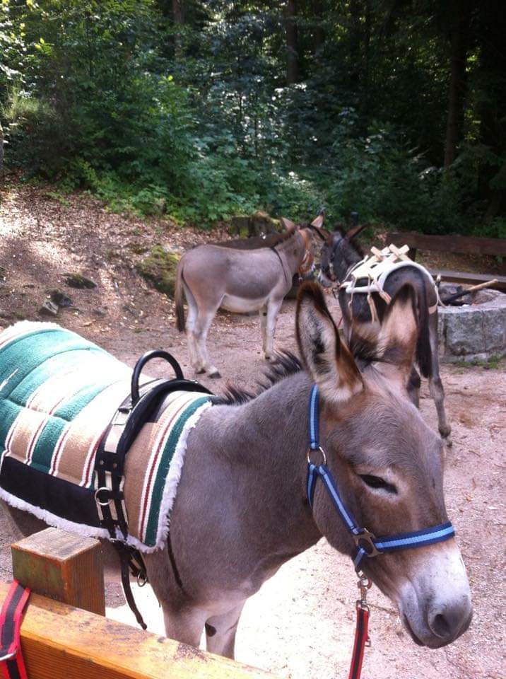 Ausflugsziel: Basgarde Hof