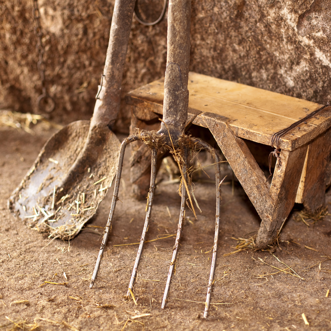 Ausflugsziel: Symbolbild für Ausflugsziel Schwarzwälder Freilichtmuseum Vogtsbauernhof. Keine korrekte oder ähnlich Darstellung! - Schwarzwälder Freilichtmuseum Vogtsbauernhof