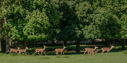Voyage avec des enfants - Pratteln - Wildgehege Waldshut