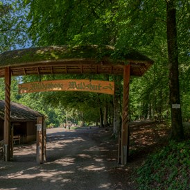 Ausflugsziel: Eingangsportal  - Wildgehege Waldshut