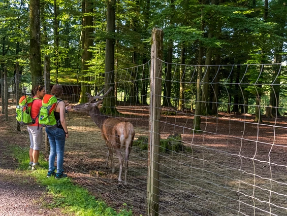Ausflugsziel: Mit speziellem Futter können manche Tiere gefüttert werden - Wildgehege Waldshut