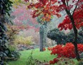 Ausflugsziel: Leuchtende Rottöne im Herbst. - Gnädinger Gärten GmbH