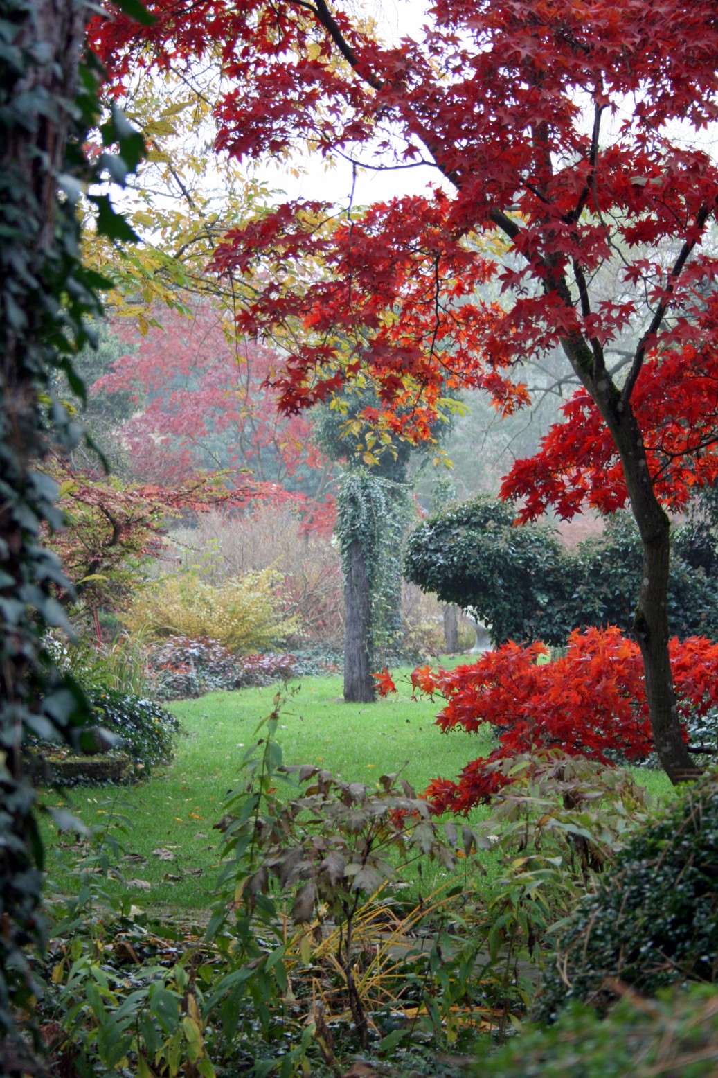 Trip with children - Engen - Gnädinger Gärten GmbH