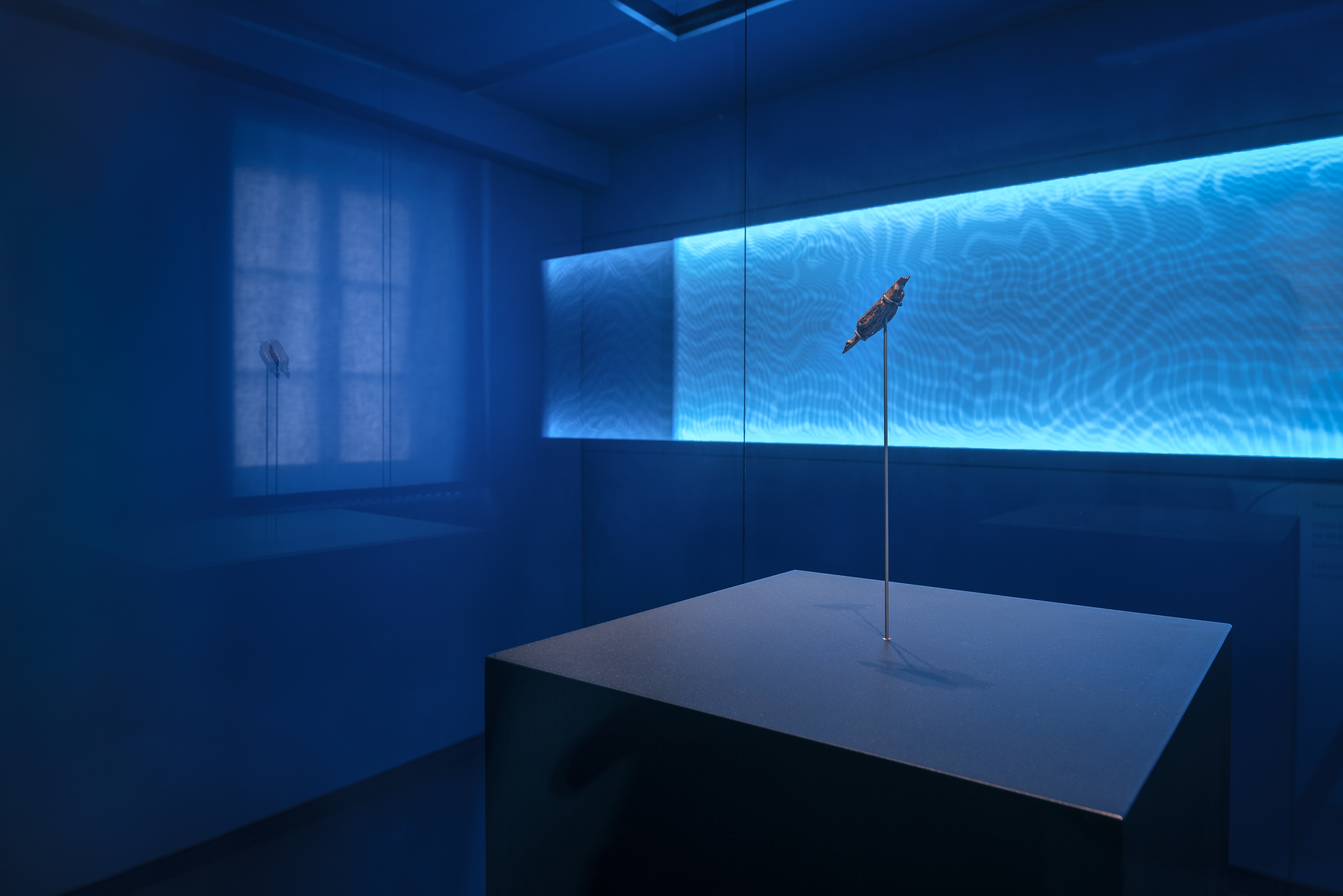 Reis met kinderen - Themenschwerpunkt: Tiere - Baden-Württemberg - Urgeschichtliches Museum Blaubeuren