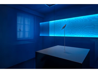 Ausflugsziel: Urgeschichtliches Museum Blaubeuren