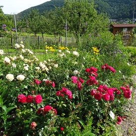 Ausflugsziel: Lehr- und Schaugarten Obst, Blumen, Kräuter