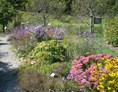 Ausflugsziel: Staudenbeet im Sommer - Lehr- und Schaugarten Obst, Blumen, Kräuter