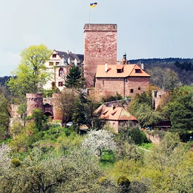 Ausflugsziel: Burg und Burgpark Gamburg ob der Tauber