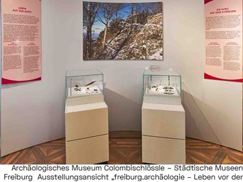 Archäologisches Museum Colombischlössle Highlights beim Ausflugsziel Ausstellung "freiburg.aktuell - Leben vor der Stadt"