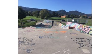 Ausflug mit Kindern - Themenschwerpunkt: Bewegung - Balingen - Skatepark Balingen-Weilstetten