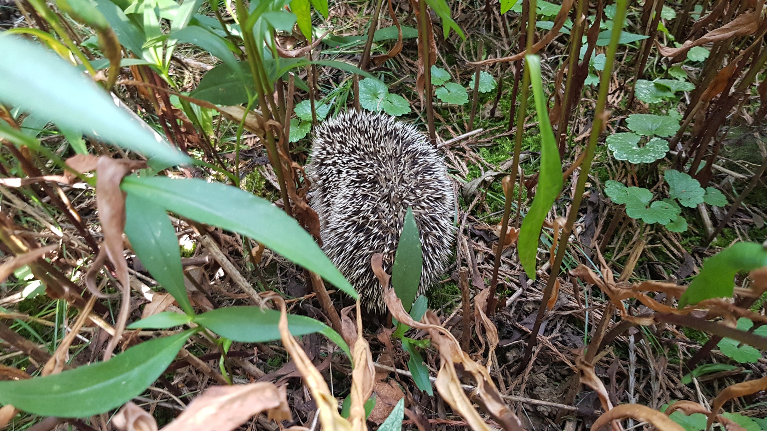 Ausflugsziel: Landhaus Ettenbühl