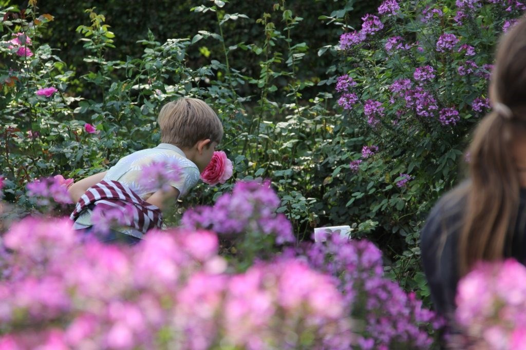 Ausflugsziel: Landhaus Ettenbühl