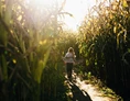 Ausflugsziel: Maislabyrinth