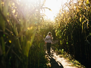 Ausflugsziel: Maislabyrinth