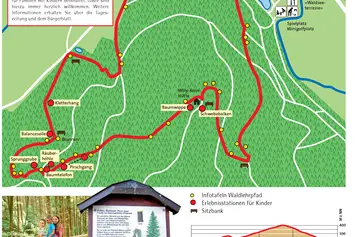 Ausflugsziel: Wald- und Erlebnispfad Bächlewald