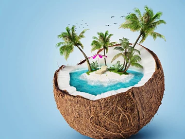Ausflugsziel: Symbolbild für Ausflugsziel Tropical Islands (Brandenburg). - Tropical Islands