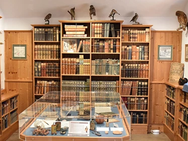 Ausflugsziel: Bibliothek im Schulmuseum - OÖ Schulmuseum