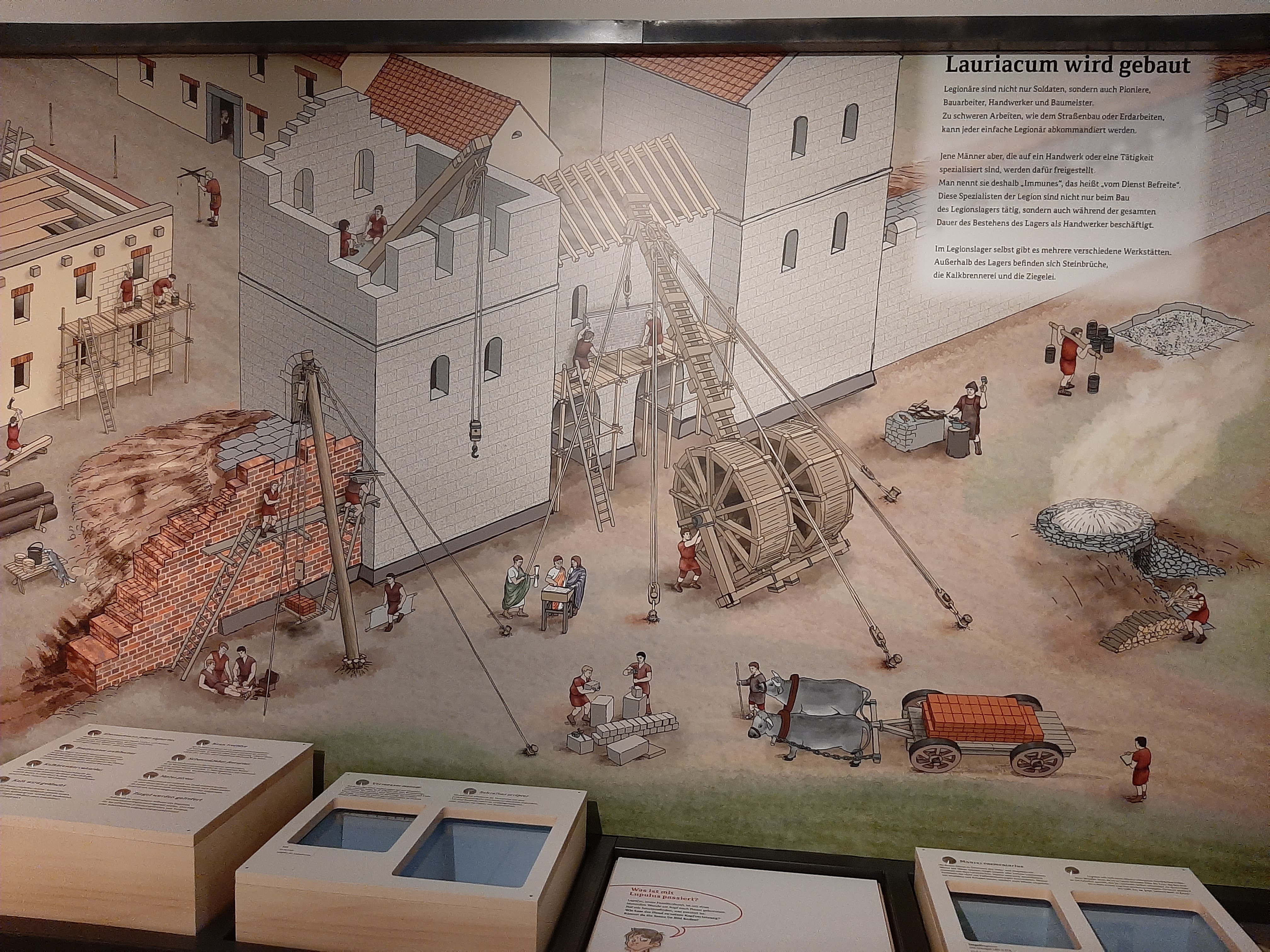 Ausflugsziel: Museum Lauriacum