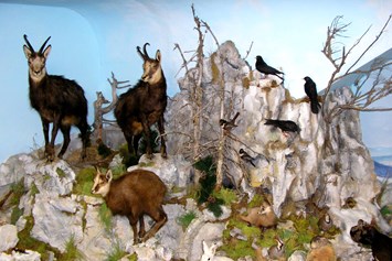 Ausflugsziel: Naturmuseum Neuberg