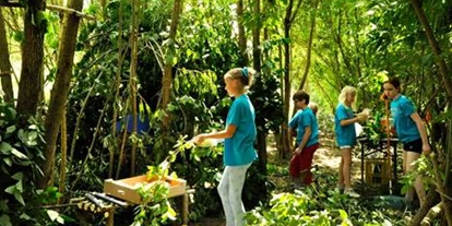 Reis met kinderen - Rosenau Schloss - Das Kunstmuseum Waldviertel