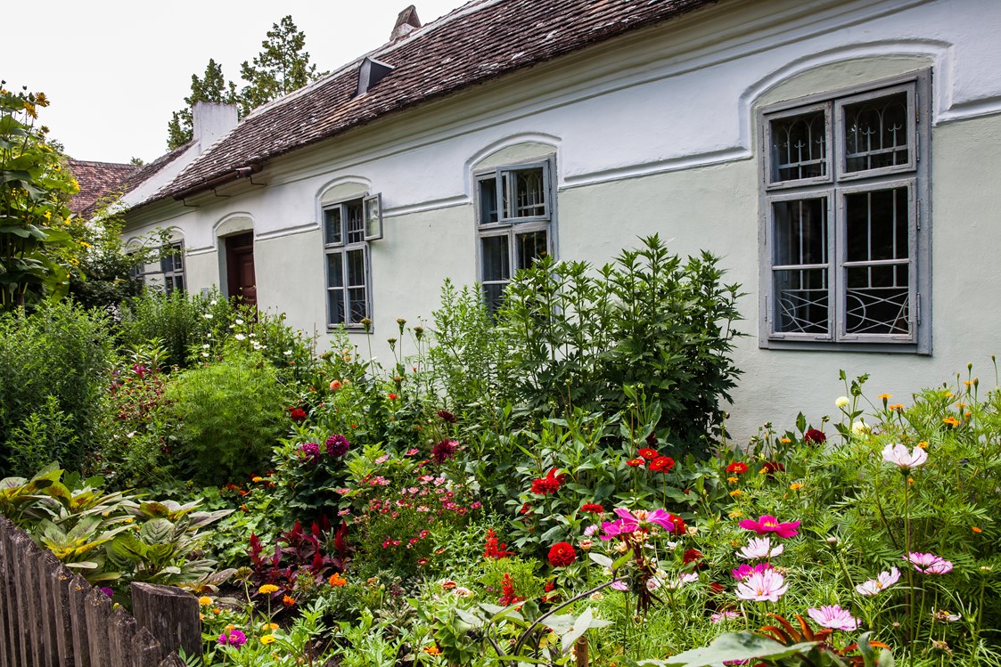 Ausflugsziel: Farbprächtige Bauergärten vor den Häusern anno dazumal (rund 80 Objekte) - Museumsdorf Niedersulz