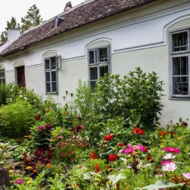 Ausflugsziel: Farbprächtige Bauergärten vor den Häusern anno dazumal (rund 80 Objekte) - Weinviertler Museumsdorf Niedersulz