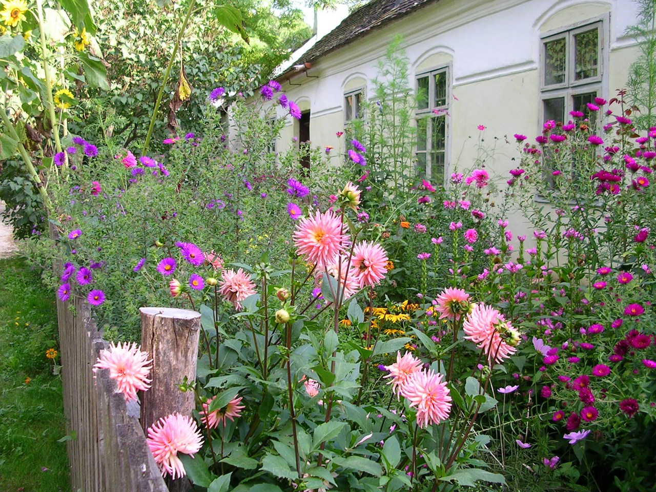 Museumsdorf Niedersulz Highlights beim Ausflugsziel Blühende Gärten, Blumenwiesen & Obstbäume
