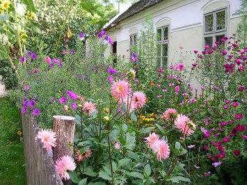 Weinviertler Museumsdorf Niedersulz Highlights beim Ausflugsziel Blühende Gärten, Blumenwiesen & Obstbäume