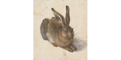 Viaggio con bambini - Felixdorf - © ALBERTINA, Wien / Albrecht Dürer_Feldhase - ALBERTINA