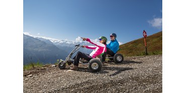 Ausflug mit Kindern - Themenschwerpunkt: Abenteuer - Neukirchen am Großvenediger - Mountaincart-Strecke am Wildkogel