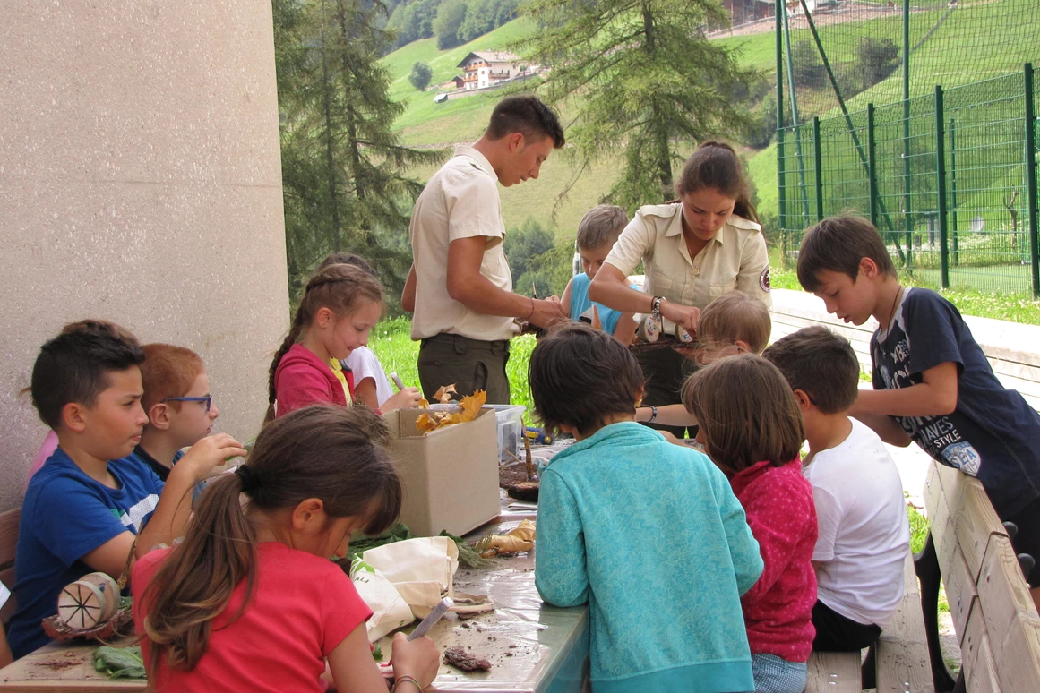 Ausflugsziel: Naturparkhaus erleben 4 - Naturparkhaus Puez-Geisler
