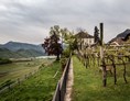 Ausflugsziel: Foto: Gerd Eder

Unser Weingarten im Frühling - mit Blick auf den Kalterersee - Südtiroler Weinmuseum