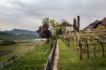 Ausflugsziel: Südtiroler Weinmuseum