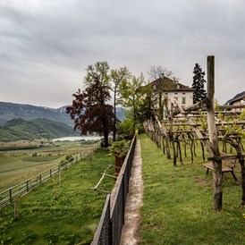 Ausflugsziel: Südtiroler Weinmuseum
