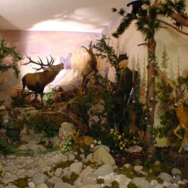 Ausflugsziel: Die Tierwelt in Steinegg - Museum Steinegg