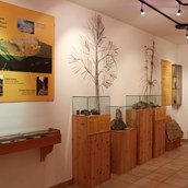 Ausflugsziel - Ausstellung im GEOMuseum Radein. - GEOMuseum Radein