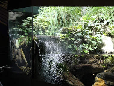 Ausflugsziel: Nationalparkhaus "aquaprad"