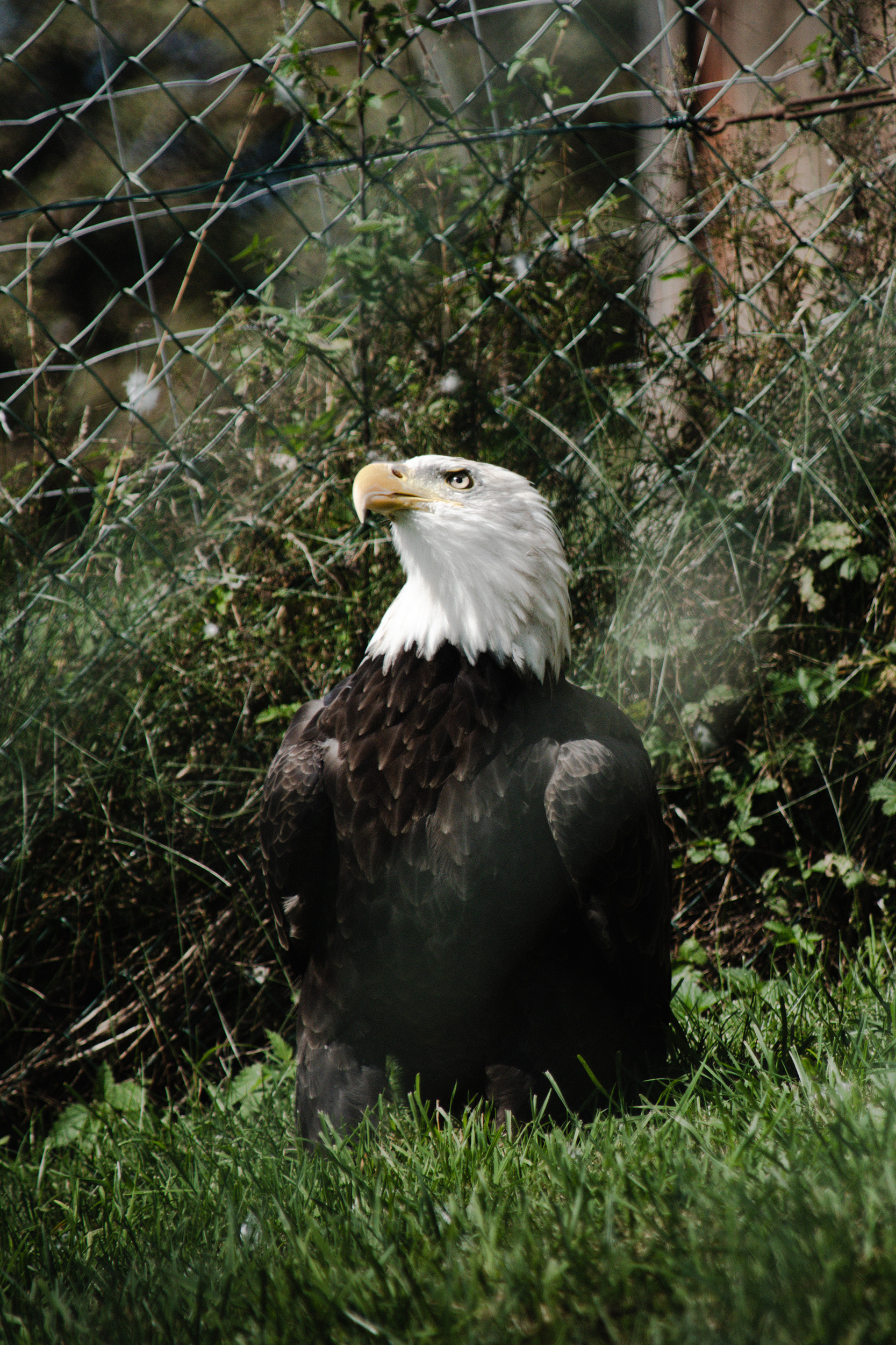 Ausflugsziel: Tierpark Altenfelden
