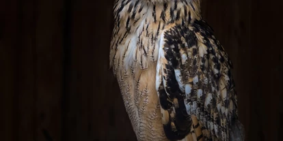 Reis met kinderen - Rading (Bad Leonfelden) - Tierpark Altenfelden