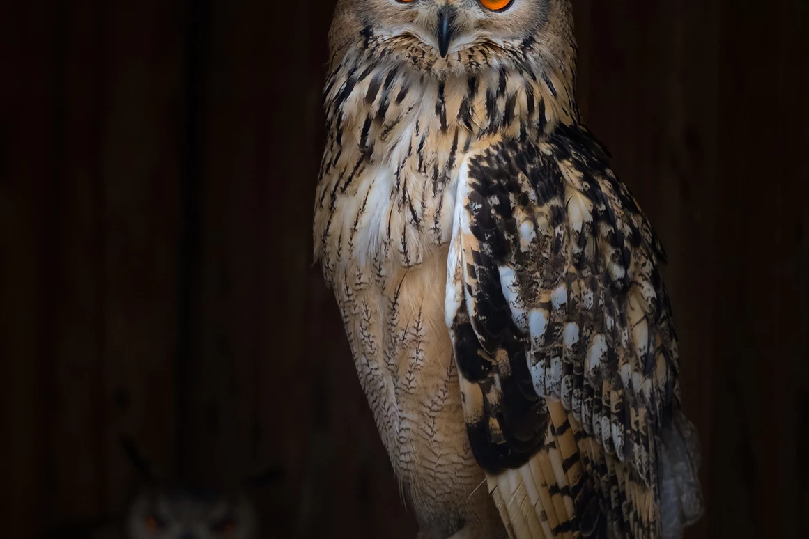 Ausflugsziel: Tierpark Altenfelden