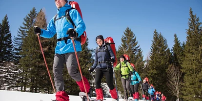 Trip with children - Kremsmünster - Abenteuer Management - Naturerlebnis pur
