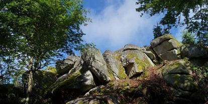 Viaggio con bambini - Kleinzell im Mühlkreis - Der Wendenstein | © Mayr Manfred | Beschreibung: "Der Wendenstein"
 - Kraftplatz "Wendenstein"